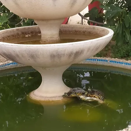 فندق مبيت وإفطار La Seta Rossa