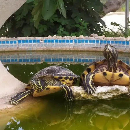 לינה וארוחת בוקר La Seta Rossa