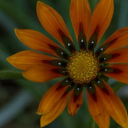 La Seta Rossa לינה וארוחת בוקר גלטונה