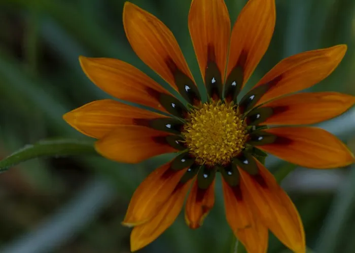 La Seta Rossa Alojamento de Acomodação e Pequeno-almoço Galatone